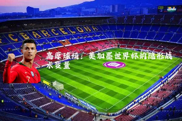 高原球场：美加墨世界杯的隐形战术变量